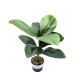 Planta Tropical Artificial Planta Tropical Artificial