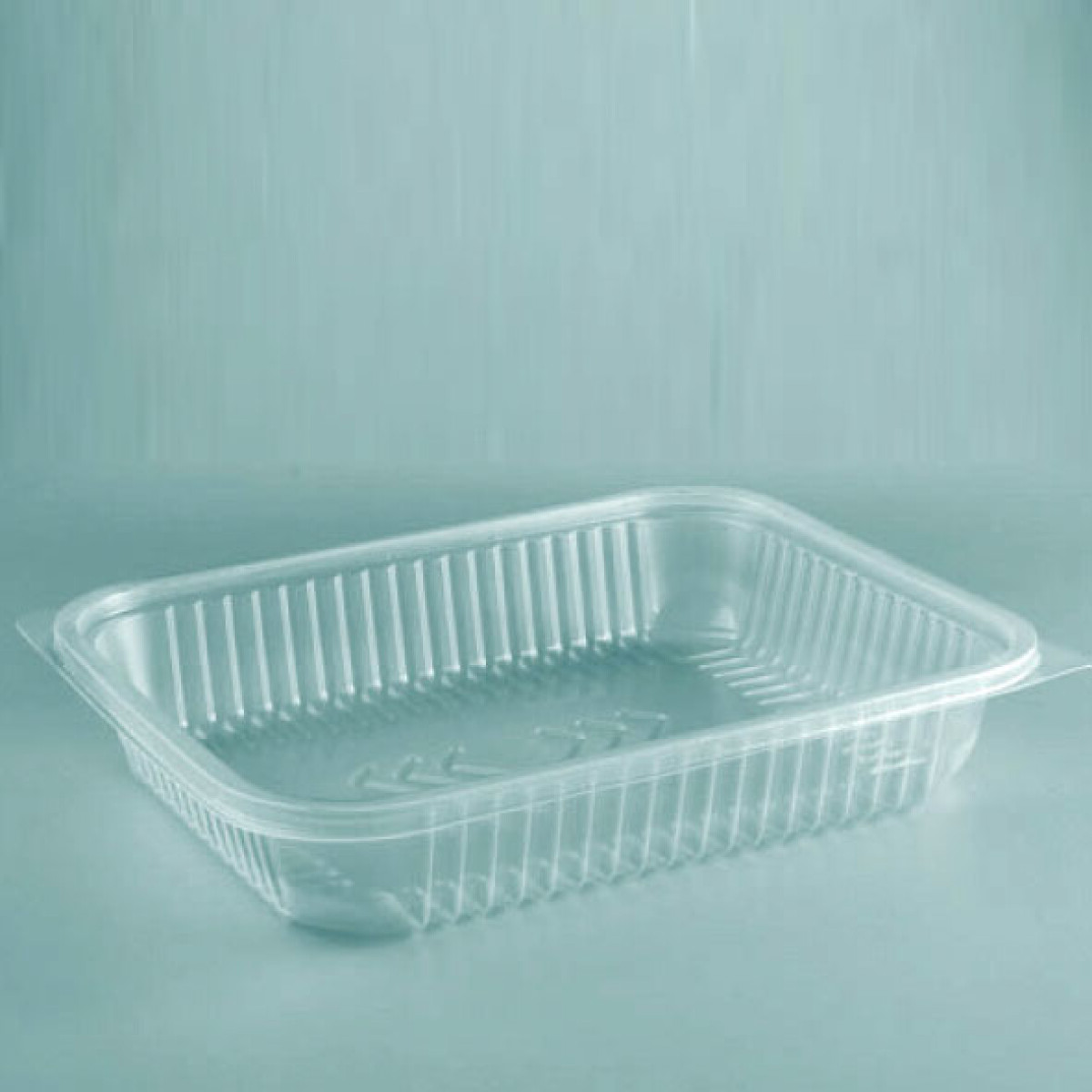 BANDEJA PP RECTANGULAR SIN TAPA 17.9X22.9X4.2 CM. 