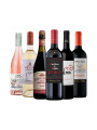 Pack Bacán Selección Entre Estilos x6 vinos Cruce de Estilos Pack Bacán Selección Entre Estilos x6 vinos Cruce de Estilos
