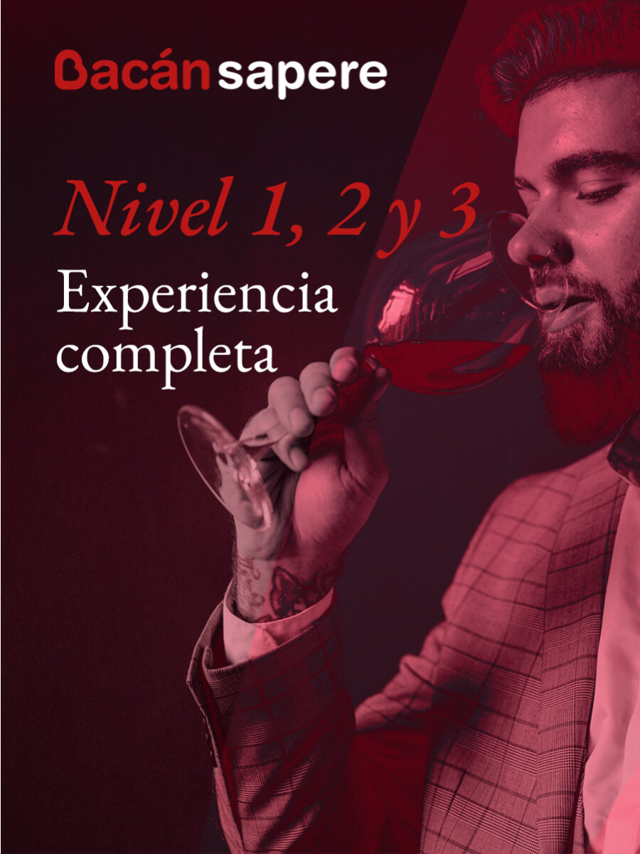 Experiencia Completa Bacán Sapere – Niveles 1, 2 y 3 Experiencia Completa Bacán Sapere – Niveles 1, 2 y 3
