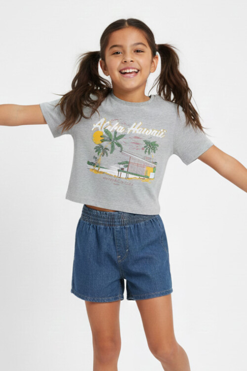 Remera estampada GRIS