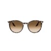Ray Ban Rb2204 1431/51