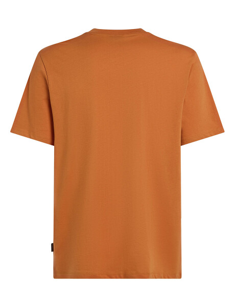 Remera O'Neill Front Print Negro Naranja