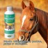 MICOSEB SHAMPOO 250 ML MICOSEB SHAMPOO 250 ML