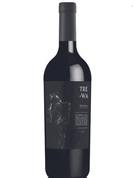 Carmenere Reserva Trewa Carmenere Reserva Trewa