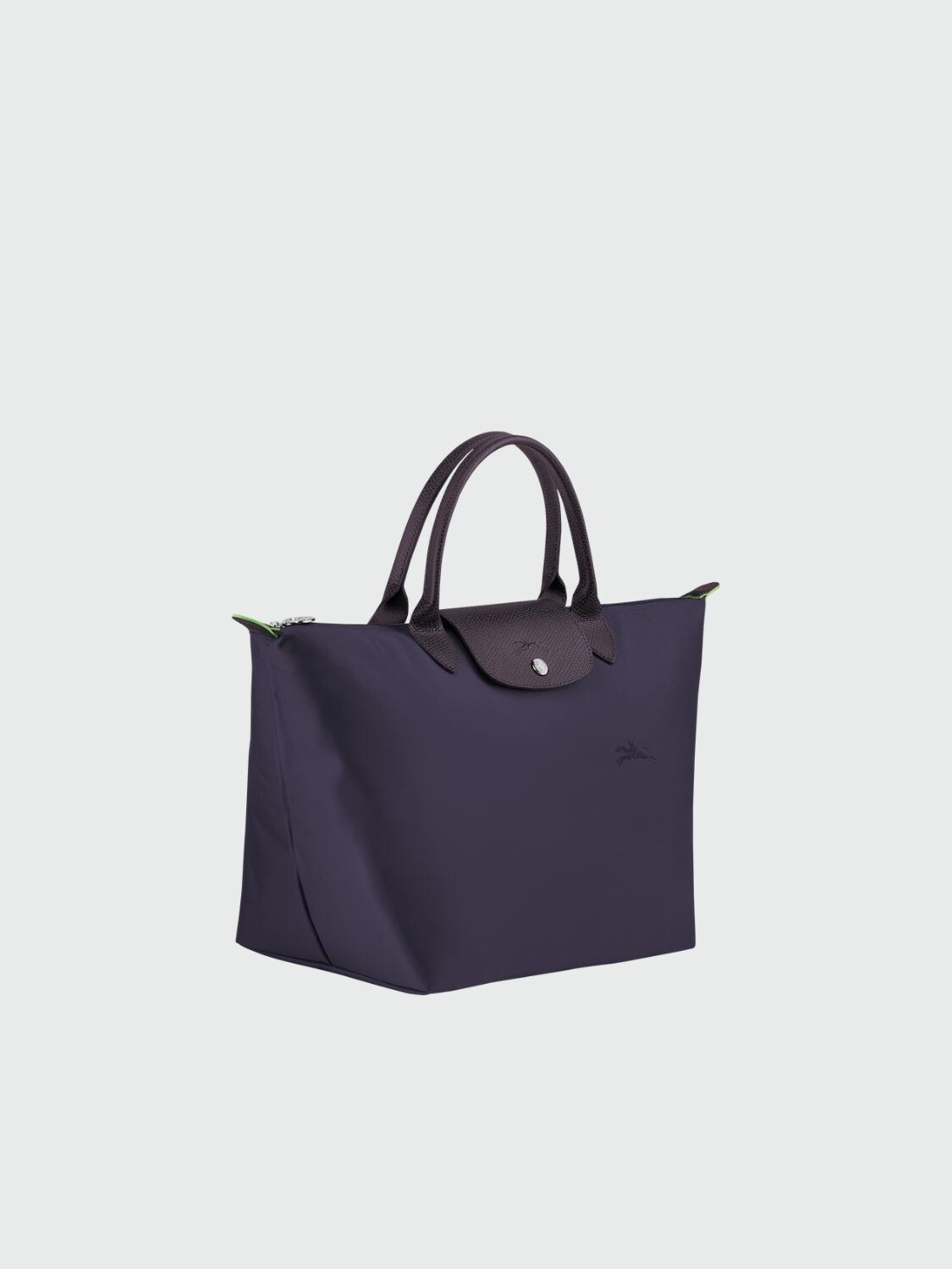 Le Pliage Green M Handbag Violeta