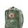 Kanken Art Mini Green Fable (976)