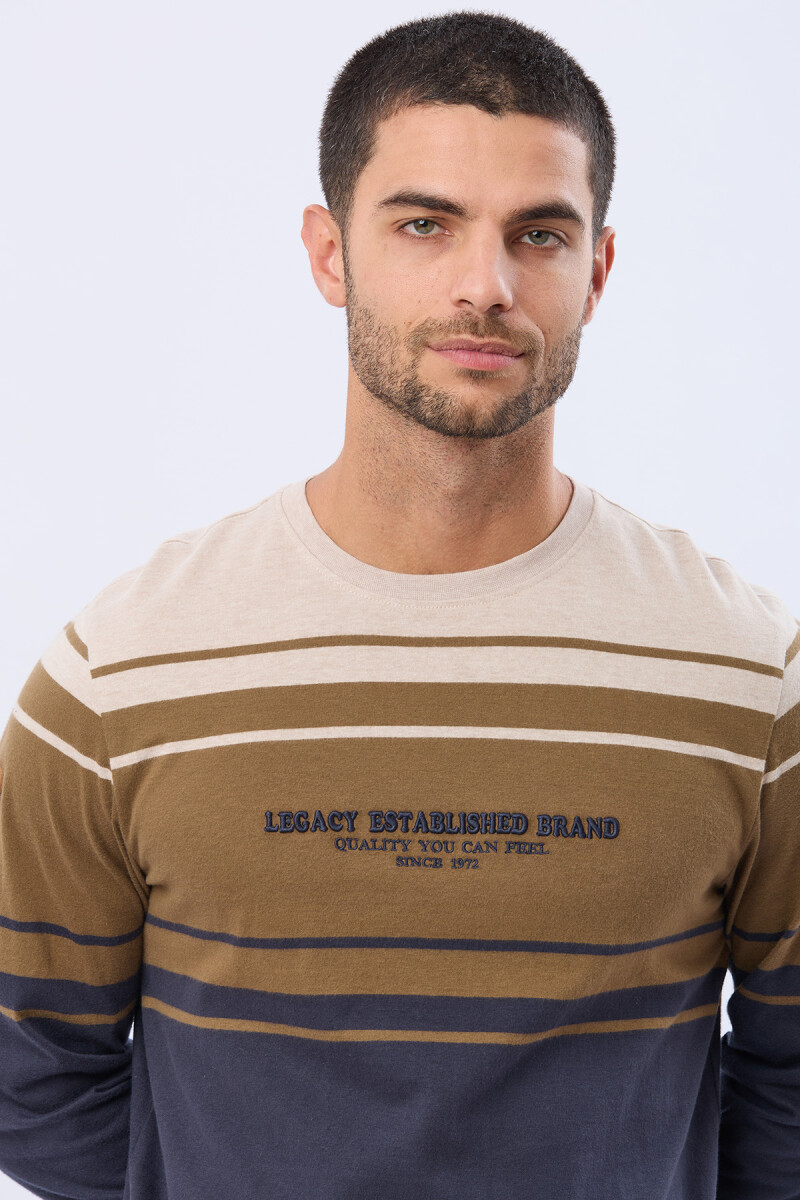 REMERA RAYADA BORDADA - Beige 