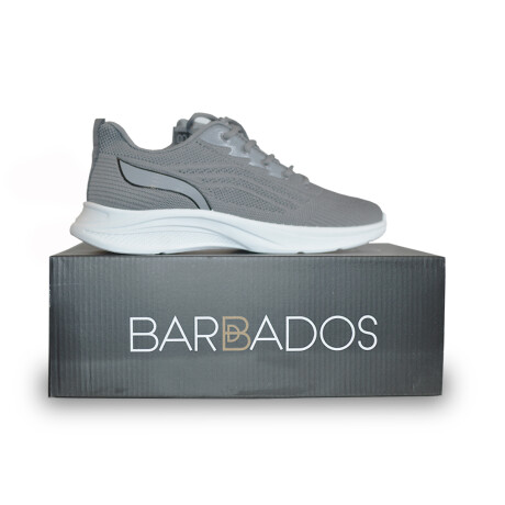 Championes de hombre Barbados Gris