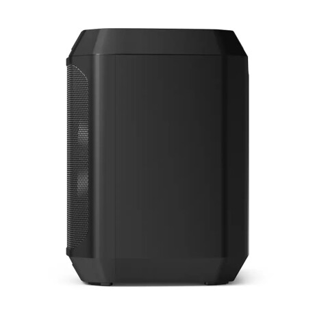 Parlante Inalámbrico Bluetooth Philips Tax2208/00 30w 001