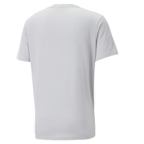 Performance SS Tee M 52031480 Gris