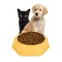 Plato Hexagonal Mascota Cachorros Comida Agua Plástico Atrix Variante Color Amarillo