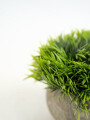 Planta Suculenta Artificial Color Unico