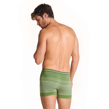 Boxer rayas melange Verde lago