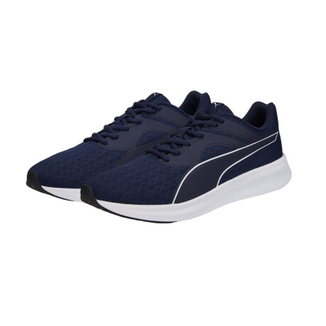 PUMA TRANSPORT 02