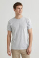 Remera cuello redondo ICONIC 150 GRIS