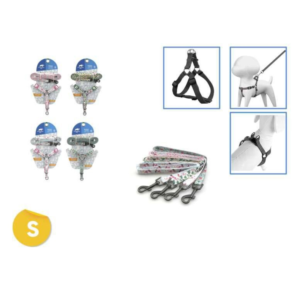 COLLAR + CORREA DISEÑOS VARIOS S COLLAR + CORREA DISEÑOS VARIOS S