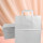 Pack x 200 - bolsa lisa 26x16x30 cm. BLANCO