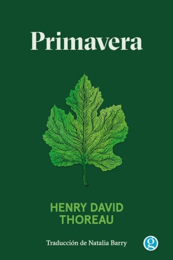 Primavera Primavera