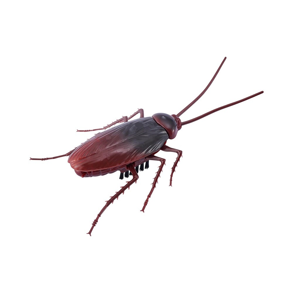 Cucaracha Robótica ZURU Robo Alive Crawling Cockroach ROBO ALIVE CUCARACHA