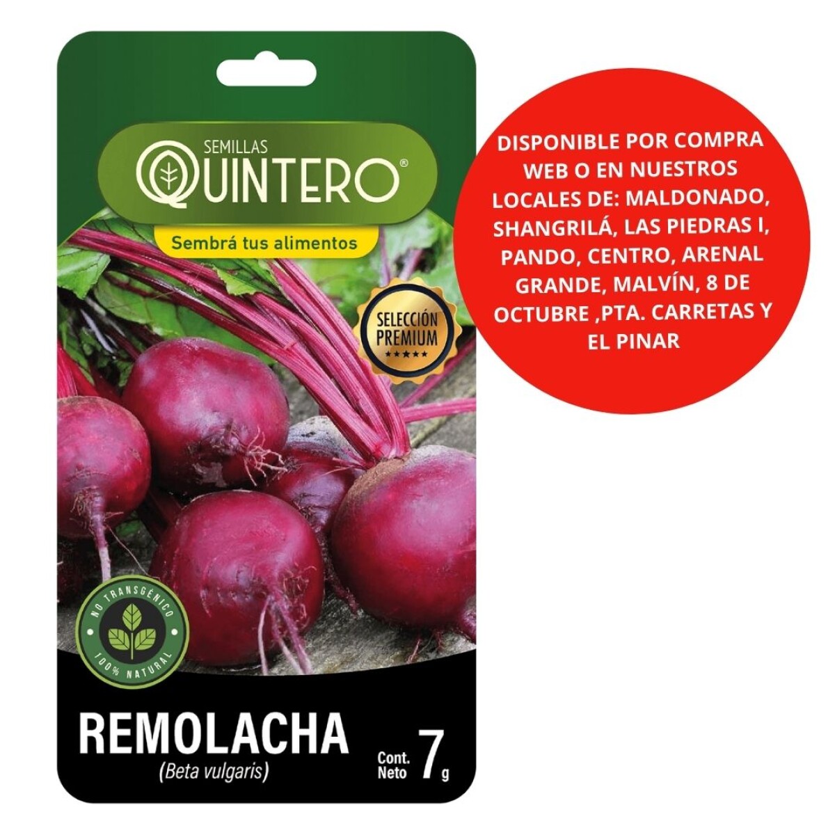 Semillas - Remolacha X7G 