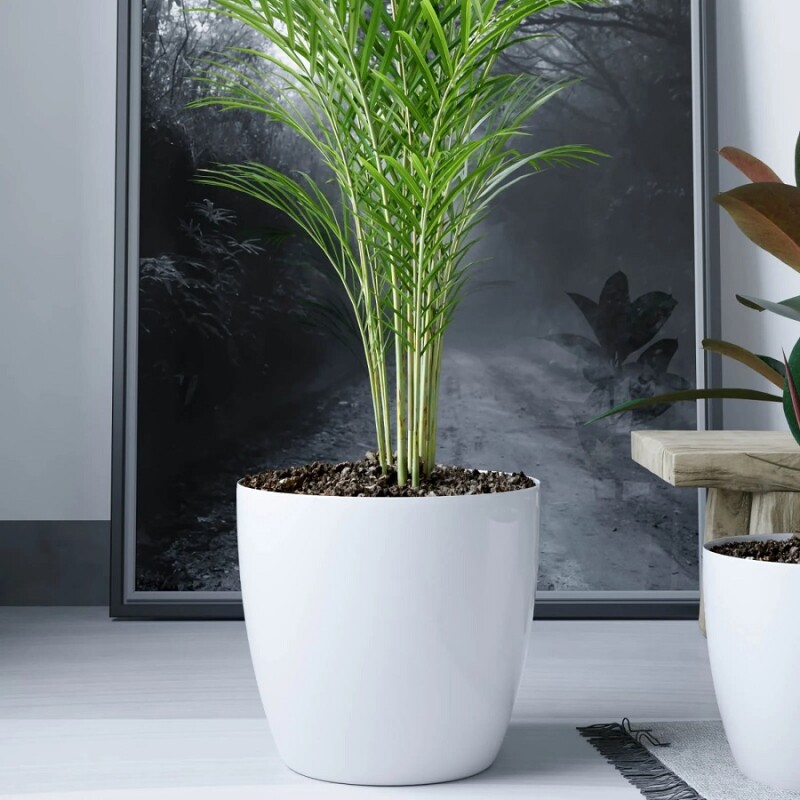 Macetero Premium N27 Blanco 23cm Alto x 27 Diam Boca, 9,5 lts Macetero Premium N27 Blanco 23cm Alto x 27 Diam Boca, 9,5 lts