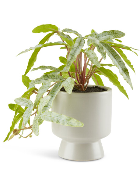 Planta artificial OLSEN Ø9xA20cm maceta Planta artificial OLSEN Ø9xA20cm maceta