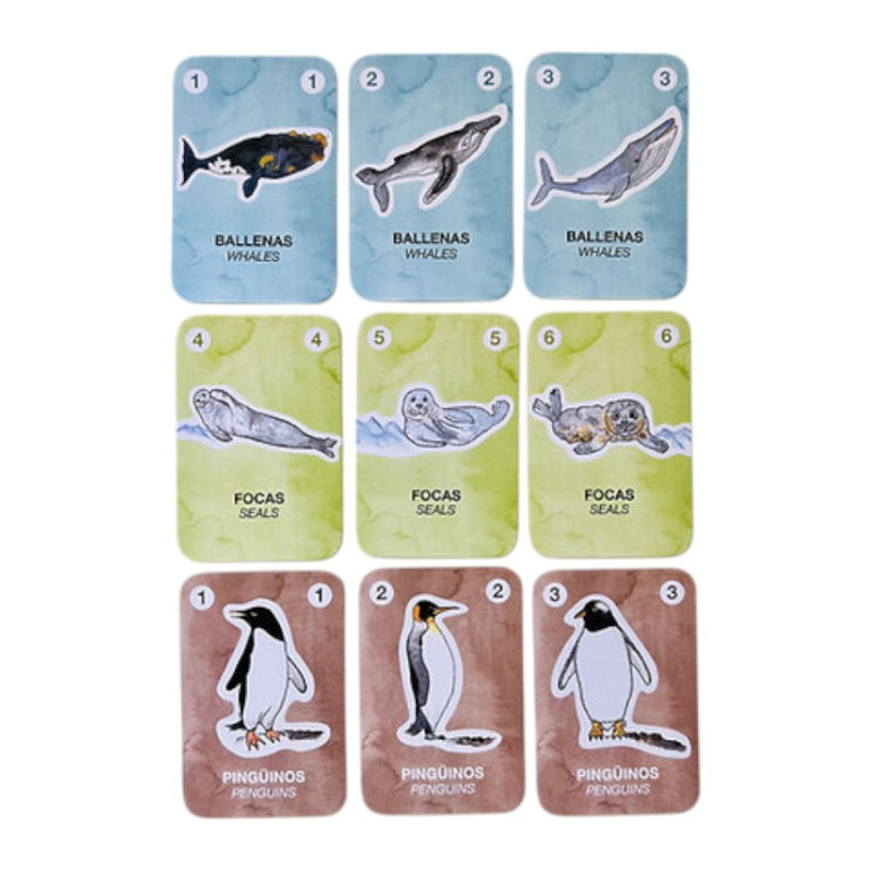 Juego de Cartas Antártida al Rescate Pika Juego de Cartas Antártida al Rescate Pika