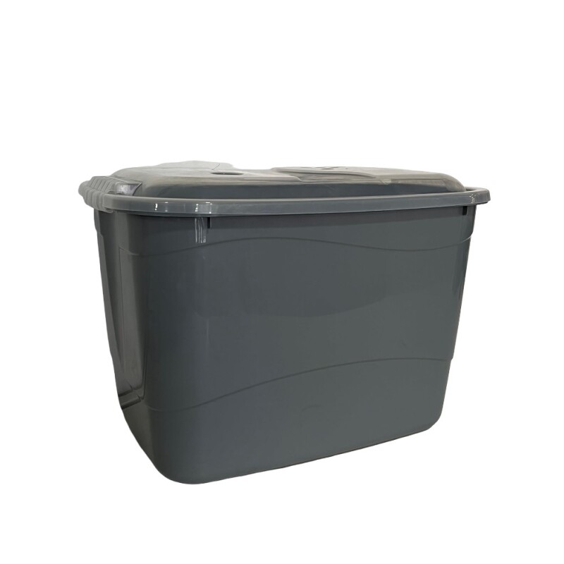 Caja Organizadora rectangular grande de plástico con trabas - RAINHA Caja Organizadora rectangular grande de plástico con trabas - RAINHA