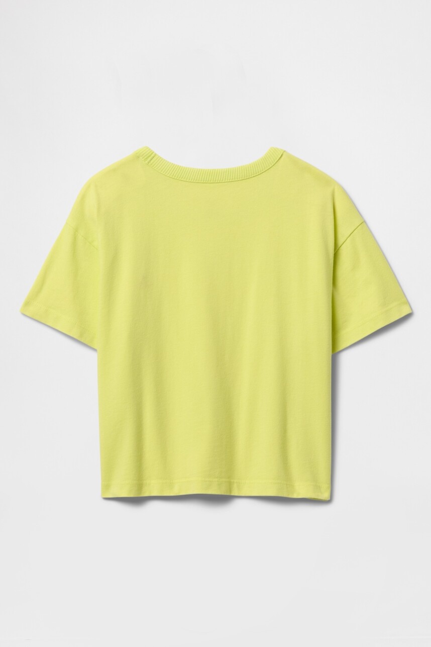 Remera Washed Toddler Niño Limon