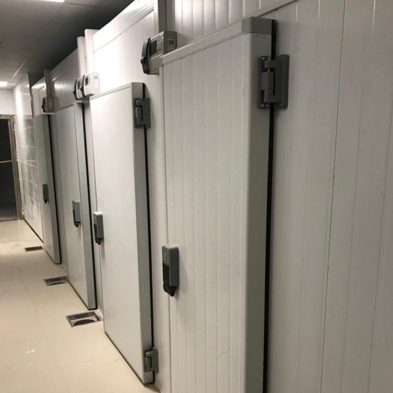 Camara de mantenimiento de congelados - Prochef PRO-FREEZE Camara de mantenimiento de congelados - Prochef PRO-FREEZE