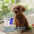 PIPETA ANTIPULGAS Y GARRAPATAS PARA PERROS DOMINAL KONIG DE 5 A 10 KG