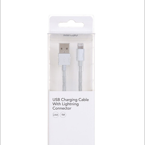Cable de carga USB Lightning Plateado
