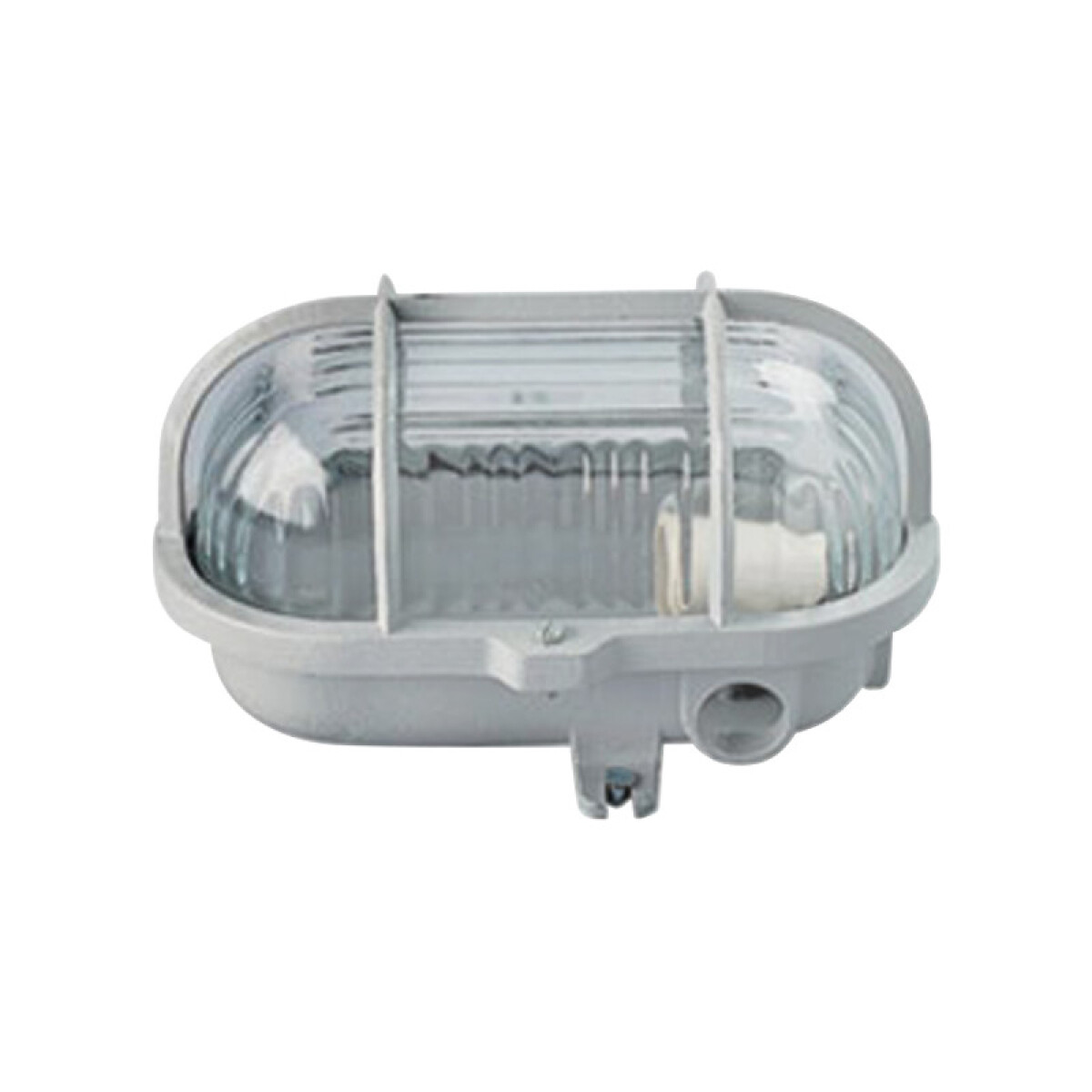 Aplique tortuga de aluminio, difusor de vidrio 60W - TE0020 