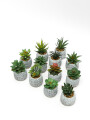 Planta Suculenta Artificial, Mini Color Unico