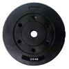 Discos revestidos 2.5 kg con recubrimiento plástico y núcleo de cemento duradero Discos revestidos 2.5 kg con recubrimiento plástico y núcleo de cemento duradero