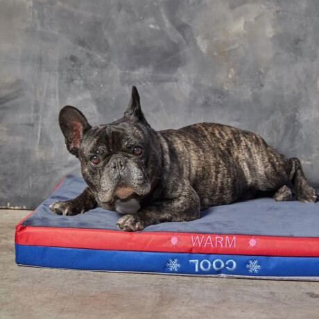 Cama P/Mascotas Frío/Calor Chica Reversible C/Cierre Lavable Azul-celeste