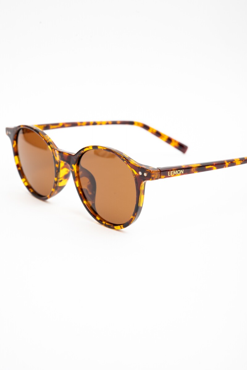 Lentes De Sol Polarizados Marron