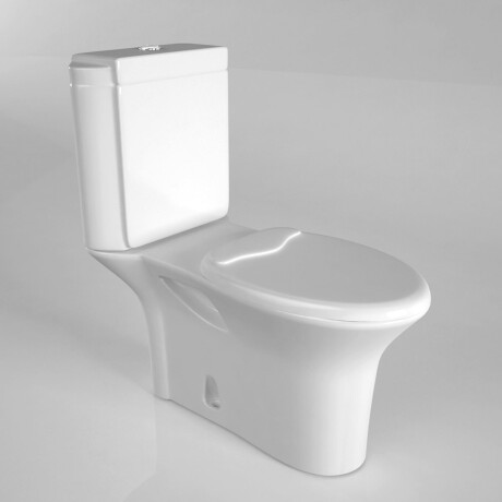 TAPA INODORO PARA BAÑO LOZA SANITARIA BLANCO BRILLO 000