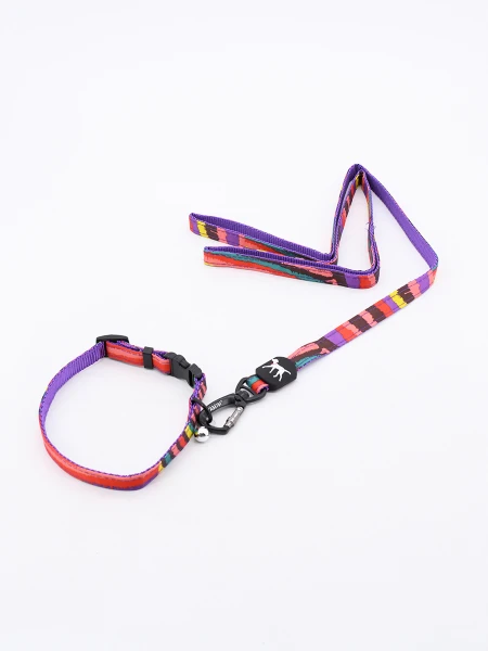 SET COLLAR COKI CON CORREA MULTICOLOR