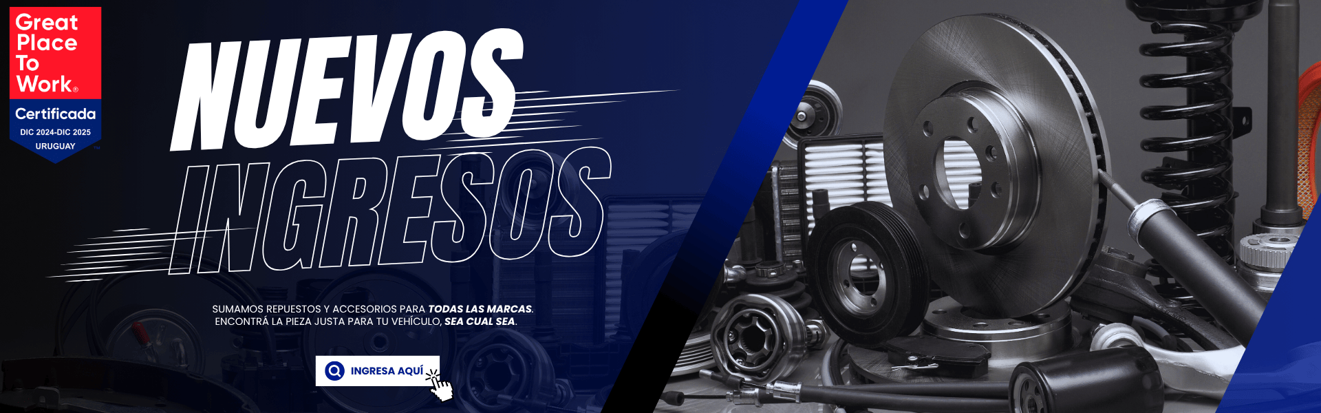 NUEVOS INGRESOS
