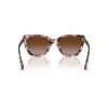 Ralph Lauren 5330u 6058/13
