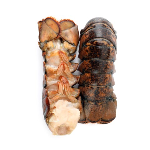 COLA DE LANGOSTA COMUN DEL CARIBE (Laevicauda) 183 - 210 grs Cola De Langosta Comun Del Caribe (laevicauda) 183 - 210 Grs