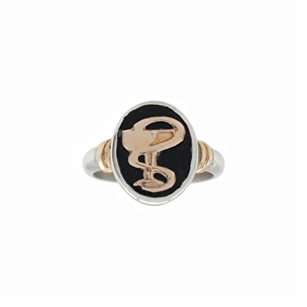 Anillo Profesión Químico Farmacéutico -Plata y Oro- Con Piedra Ónix -AP5053 sinpiedra