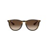 Ray Ban Rb4171 865/13