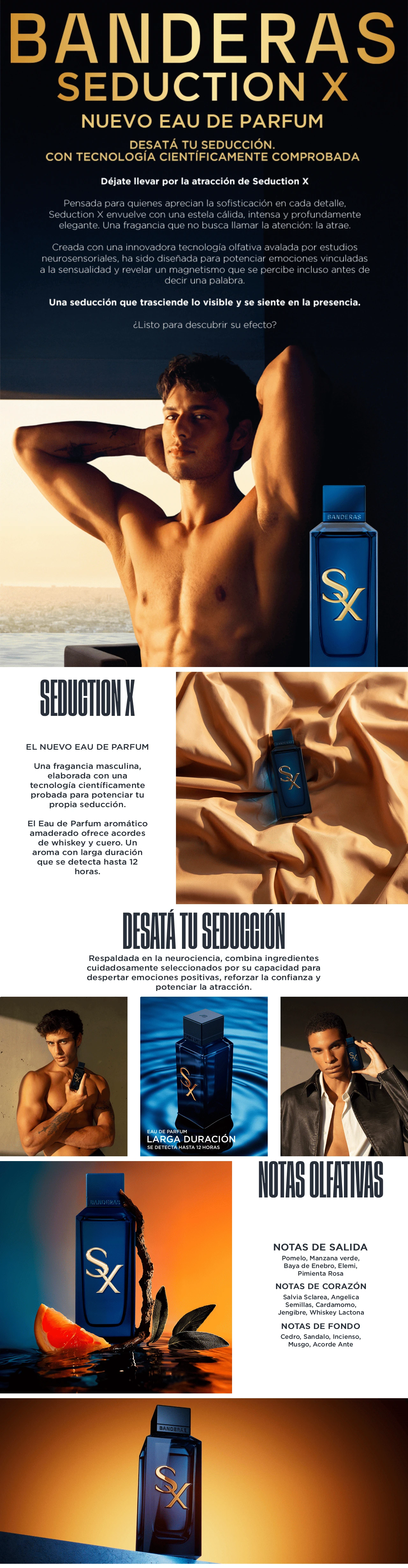 landing-page-banderas-1.png