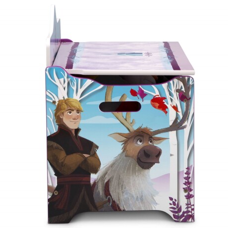 Caja para Juguetes Frozen Disney Deluxe 001