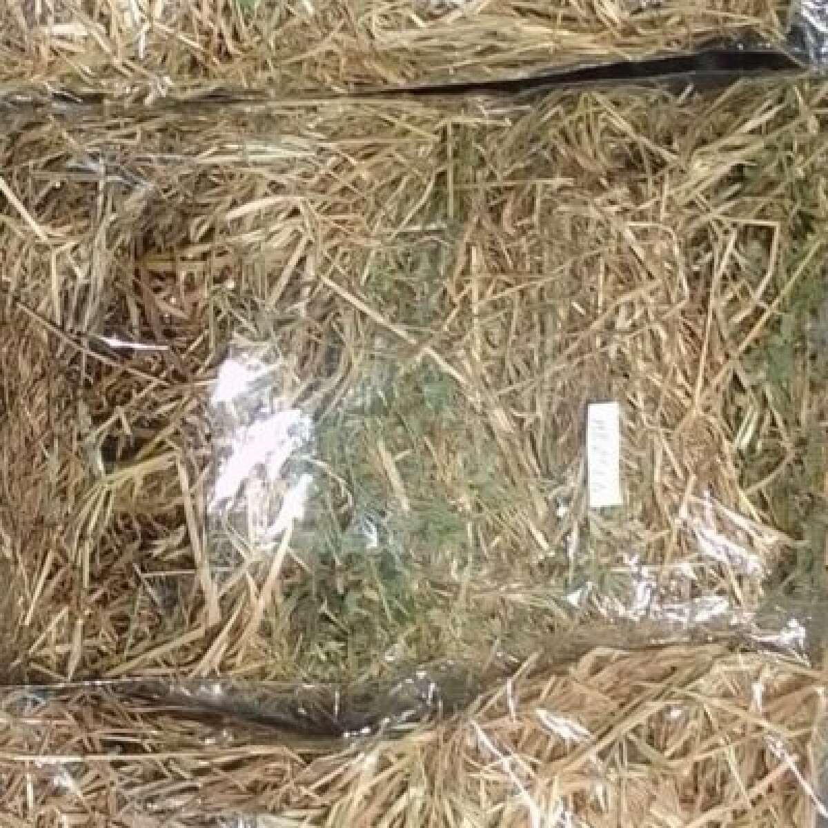 Heno de Festuca "Sarita" 