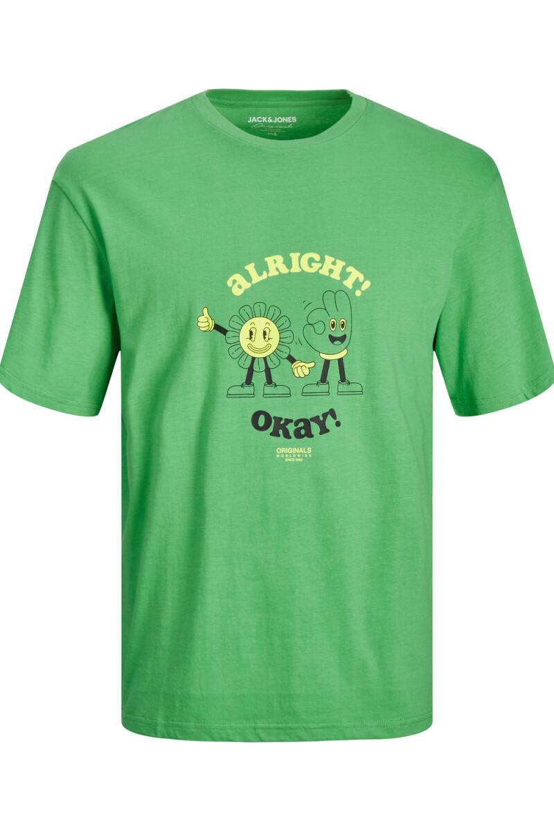 CAMISETA TOONIE Island Green