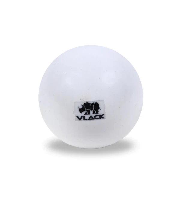 Bocha de Hockey oficial Varios
